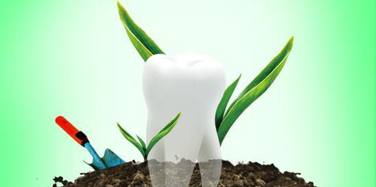 牙齿种植要多少钱 术后需要注意什么