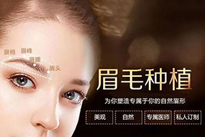 上海411医院怎么样 种植眉毛留疤吗 眉毛种植要多少钱