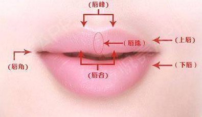 上海美莱整形医院厚唇改薄费用多少 樱桃小口美丽大方