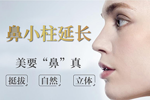 上海瑰康整形容医院鼻小柱延长价格 雕塑鼻部线条